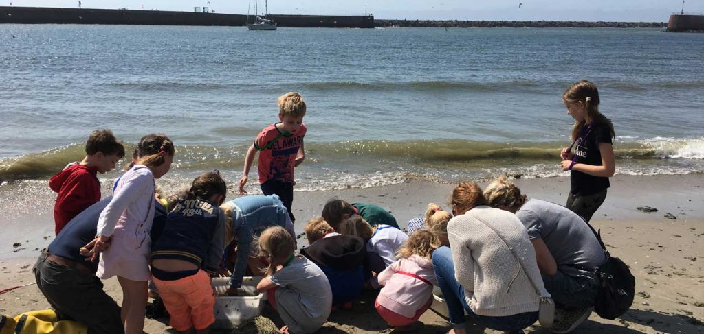 2026-cultuurmenu-zomervakantie-muzee